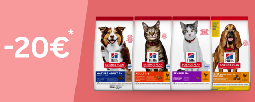 top banner top banner